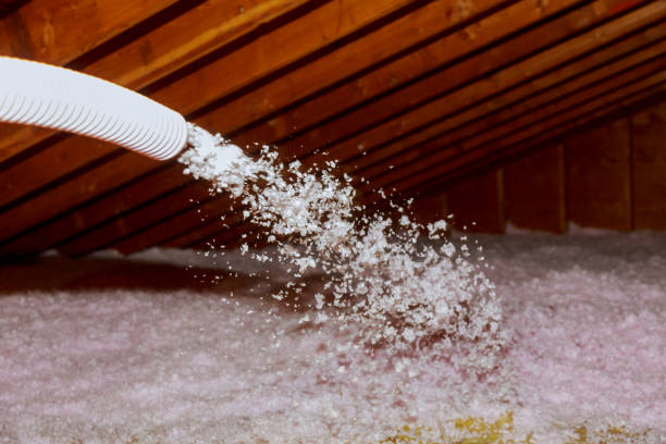 Best Residential Insulation in Orangeburg, SC